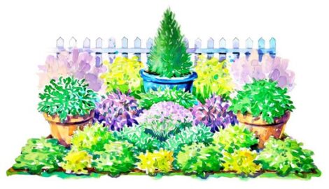 Illustrated Plan for a Colorful Herb Garden Image
